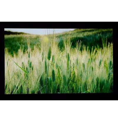 10.1" LCM 1024×600RGB 350cd/m² LQ101W3LG01 Wyświetlacz TFT LCD Sharp