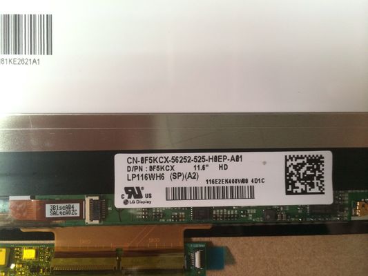 LP116WH6-SPA2 Wyświetlacz LG 11,6&quot; 1366(RGB)×768 300 cd/m² PRZEMYSŁOWY WYŚWIETLACZ LCD