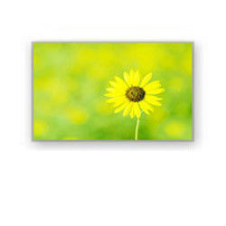 Przemysłowy wyświetlacz LCD 4.0" 320 × 240 4700cd / M2 HSD040I3N1-B00 HannStar